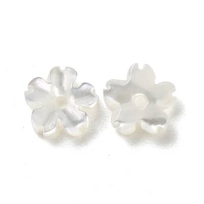 Natural White Shell Beads