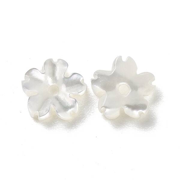 Natural White Shell Beads