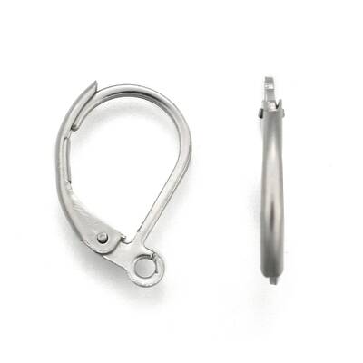 Tarnish Resistant 304 Stainless Steel Leverback Earring Findings
