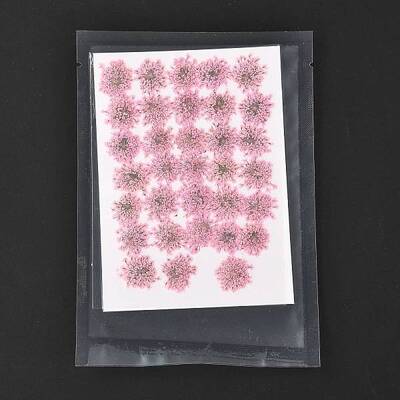 Pressed Dried Flowers