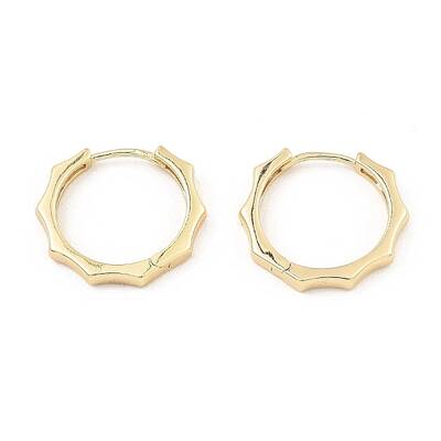 Brass Hoop Earrings