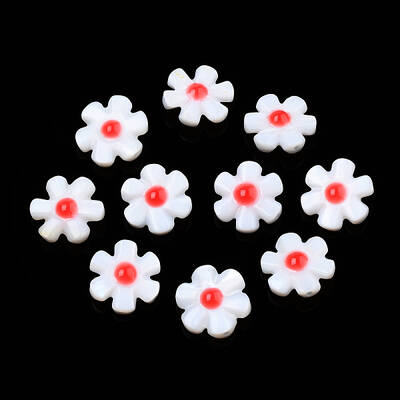 Natural Freshwater Shell Enamel Beads