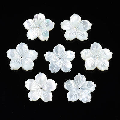 Natural White Shell Beads