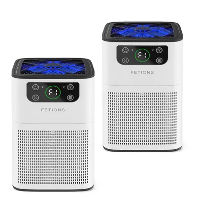 Home 3-in-1 Air Purifier, Aromatherapy Feature, Compact H13 HEPA Filter for Pet Dander, Pollen, and Odor, Perfect for Office,...