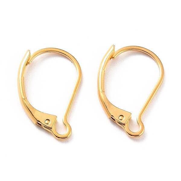Ion Plating(IP) 304 Stainless Steel Leverback Earring Findings