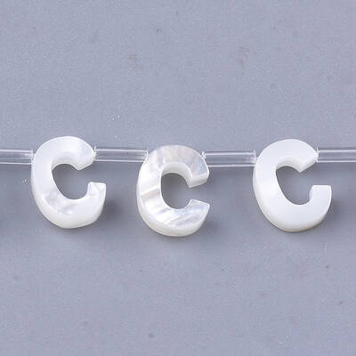 Sea Shell Beads