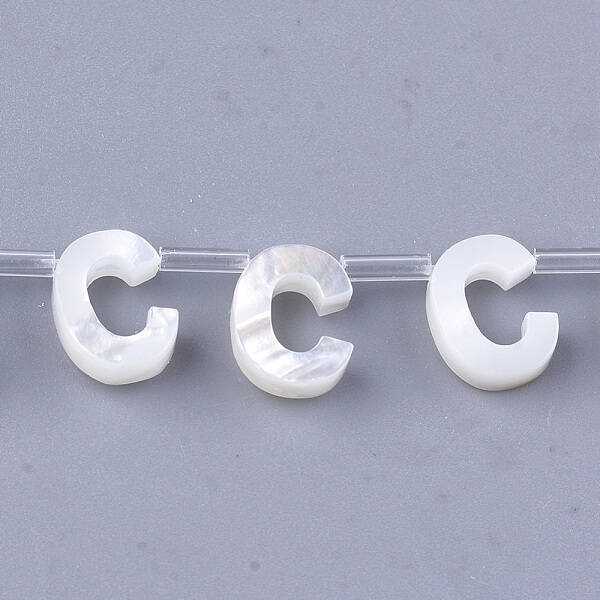 Sea Shell Beads