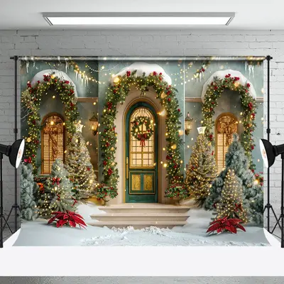 Tree Light Door Window Snow Scene Christmas Backdrop