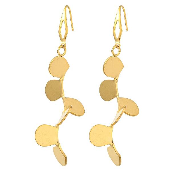 Ion Plating(IP) 304 Stainless Steel Earrings for Women