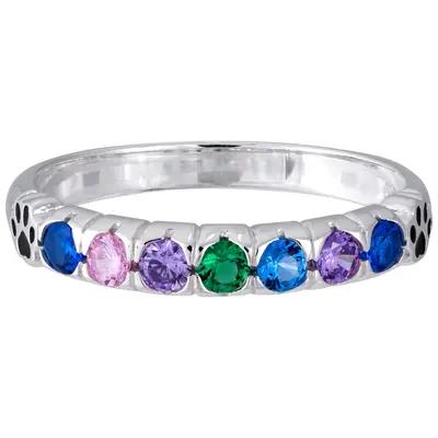 Rainbow Bridge Sterling Silver Ring - 7