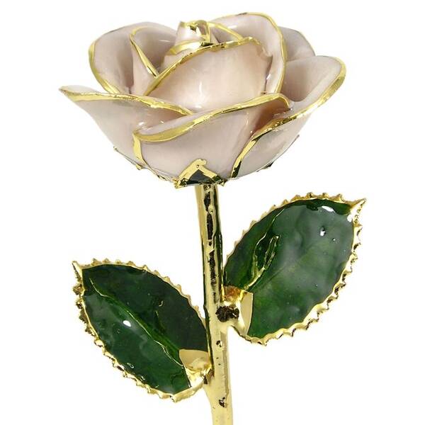 24k Gold Trimmed Rose: 11 Cream Rose