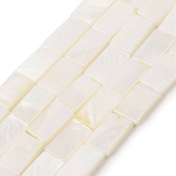 Natural Freshwater Shell Beads Strands
