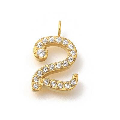 Ion Plating(IP) 304 Stainless Steel Micro Pave Cubic Zirconia Pendants