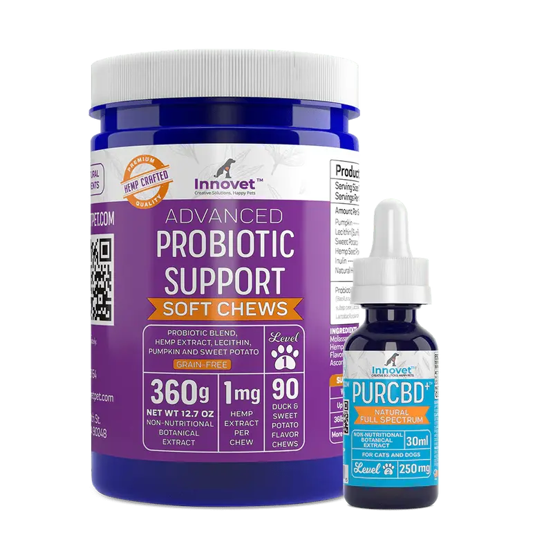 Probiotic Healthy Gut Bundle