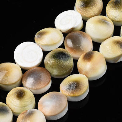 Natural Trumpet Shell Bead Strands