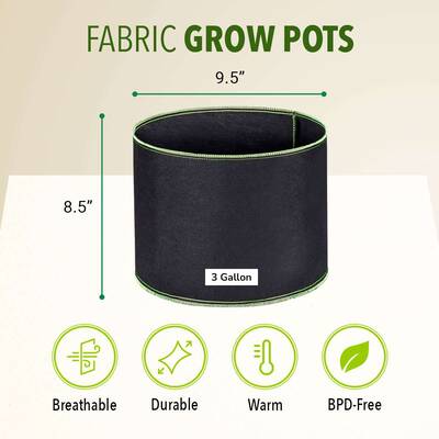 Fabric Pot (3 Gallon)