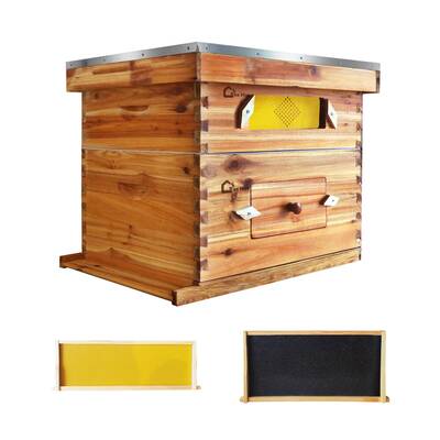 Garvee 10-Frame Langstroth Beehive Kit with Acrylic Window, Beeswax Coated, Cedarwood, Easy Assembly, Ventilated, Starter Kit...