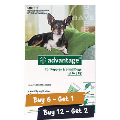Advantage Small Dogs/ Pups 1-10lbs (Green) 12 Doses + 2 Free