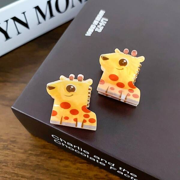 Cute Acrylic Claw Clip