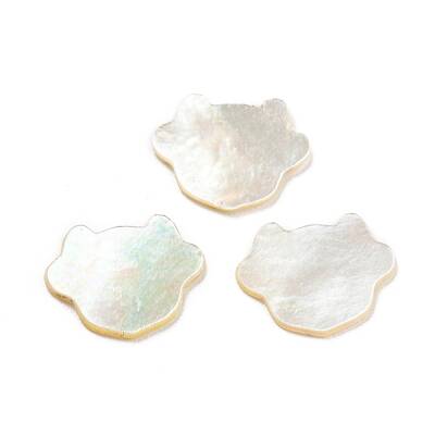 Natural Sea Shell Cabochons