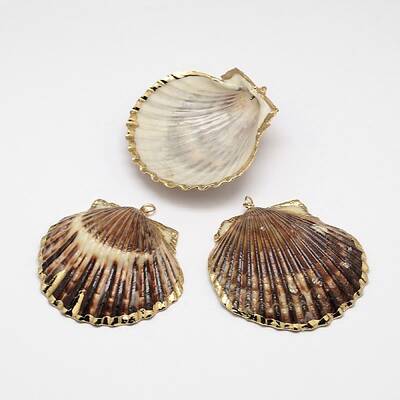 Natural Shell Big Pendant
