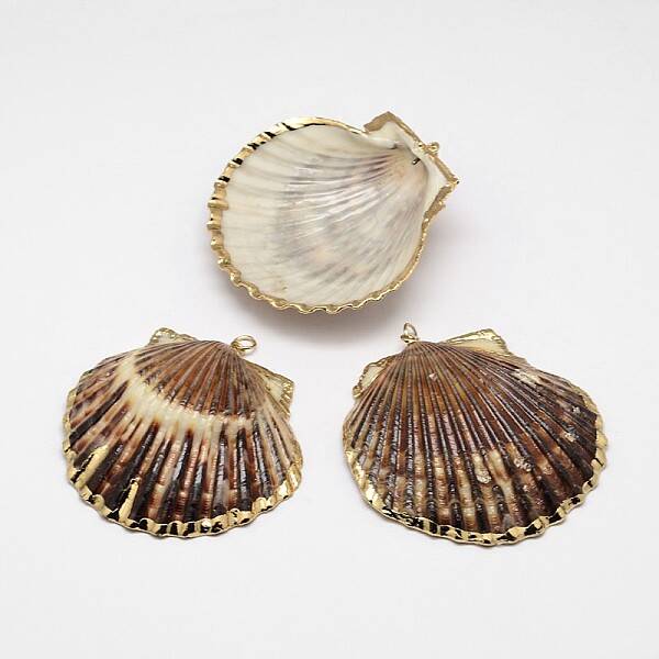 Natural Shell Big Pendant