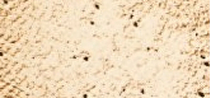 Inika Organic Fondotinta Minerale In Polvere Libera Spf 25 (Fondotinta Minerale In Polvere Libera) 8 G - Tonalità: Grace