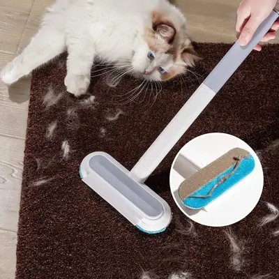 Dust Broom, Multifunctional Hair Removal Brush, Cleaning Brush For Home Sofa Couch Window