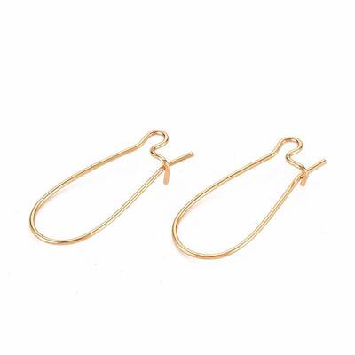 Brass Hoop Earrings