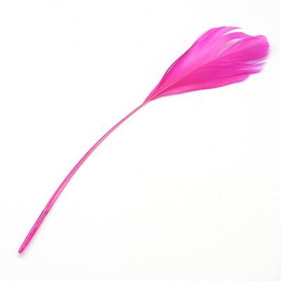 Fashion Goose Feather Costume Accessories