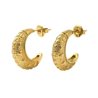 304 Stainless Steel Moon Stud Earrings for Women