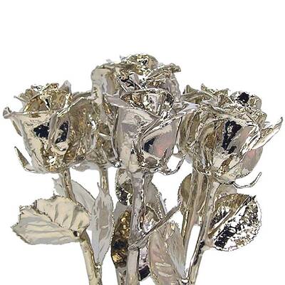 Platinum Dipped Roses: Half Dozen 11 Rose Bouquet