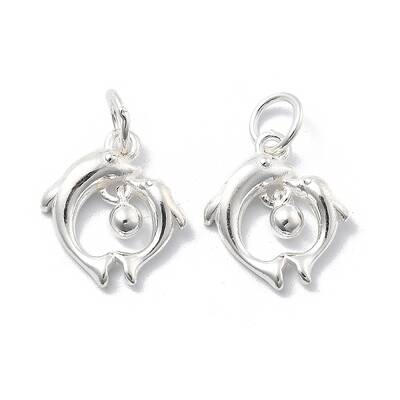 925 Sterling Silver Charms