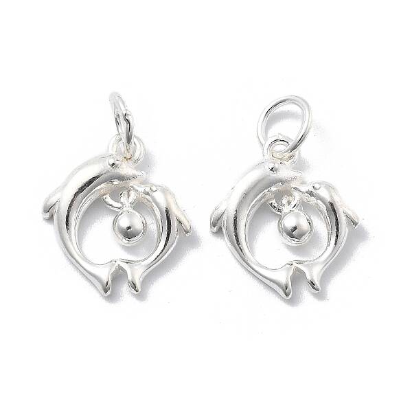 925 Sterling Silver Charms