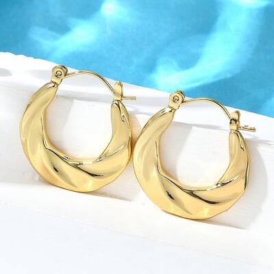 304 Stainless Steel Hoop Earrings for Women