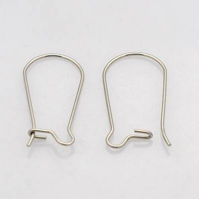 Tarnish Resistant 316 Surgical Stainless Steel Hoop Earrings