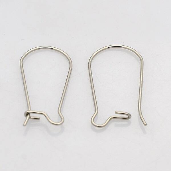Tarnish Resistant 316 Surgical Stainless Steel Hoop Earrings