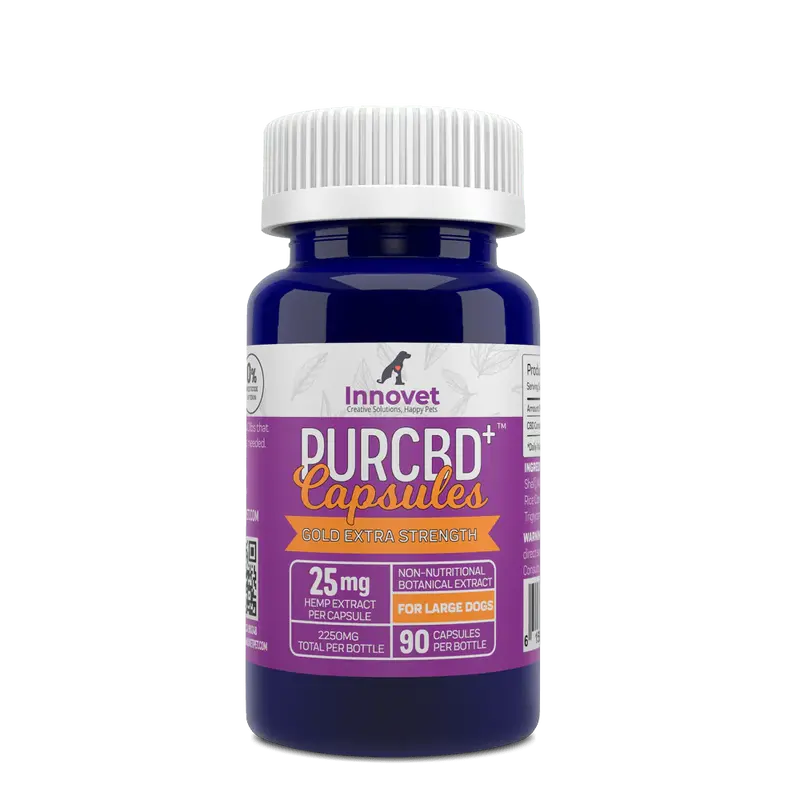 Hemp CBD Capsules for Dogs