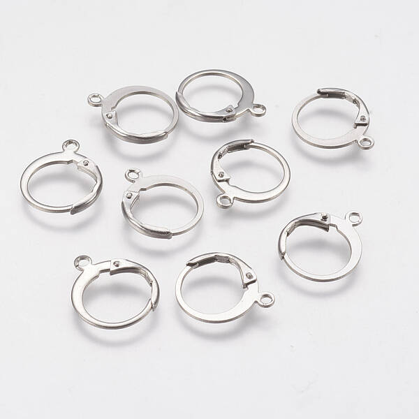 Tarnish Resistant 304 Stainless Steel Leverback Earring Findings