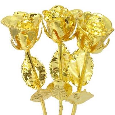 3 Past, Present and Future 14 Gold Dipped Roses