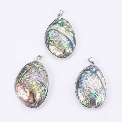 Abalone Shell/Paua Shell Big Pendants