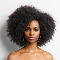 Imani 14 Inch Afro Kinky Human Hair Afro Puff Kinky Curly Lace Front Wig  Short Hair Wig 13x4x2 HD Lace Natural Hairline 250%...