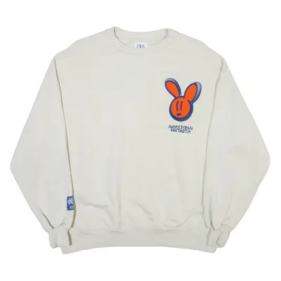 ZARA Boys Sweatshirt White 13-14Y