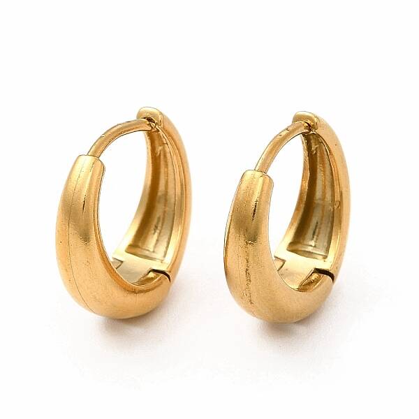 316 Stainless Steel Hoop Earrings for Women
