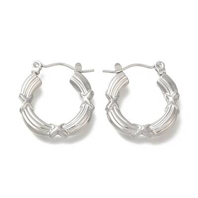 304 Stainless Steel Ring Hoop Earrings for Women