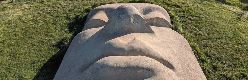 Marlay Park’s Heritage: A Stroll through Dublin’s Playground