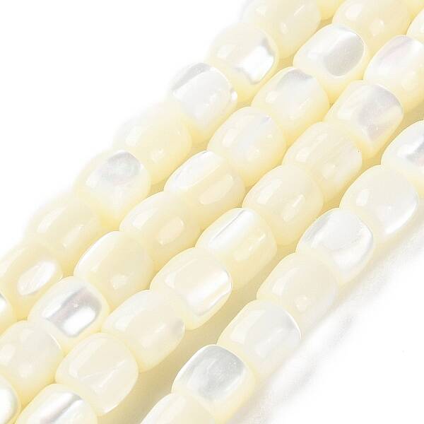 Natural Trochus Shell Beads Strands