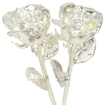 His and Her 11 All Silver Roses