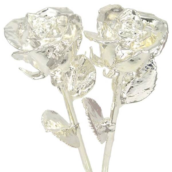 His and Her 11 All Silver Roses
