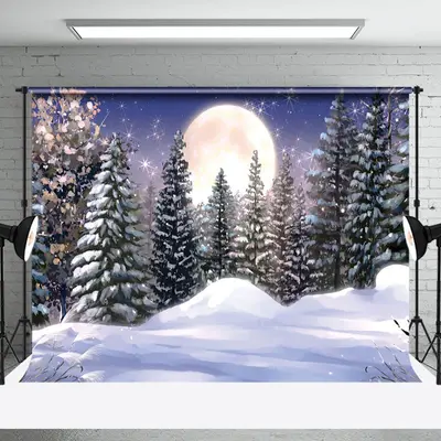 Aperturee Painting Snowy Winter Moon Night Forest Backdrop